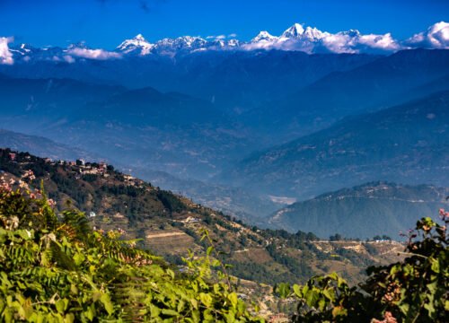 Jarsing Pauwa, Kathmandu